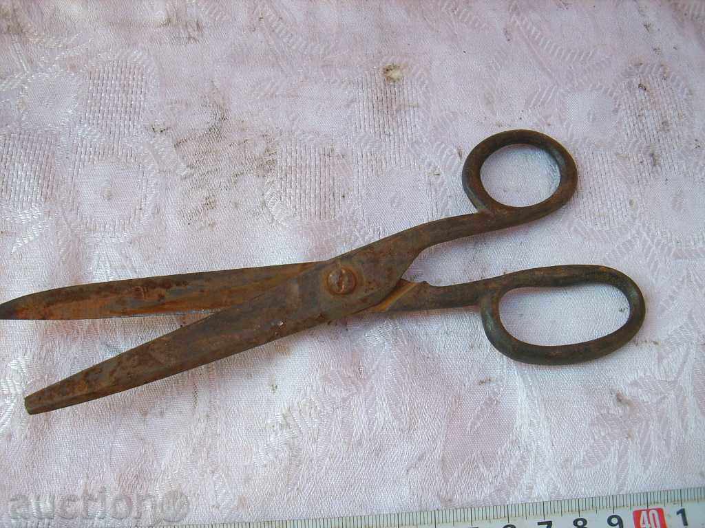 Delivery of OLD NAGY