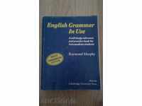 ENGLISH GRAMMAR in use