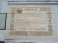 incredibly beautiful old document, act, diploma