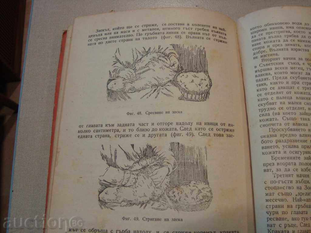 Auction FASHION 1963 Auction FASHION 1963