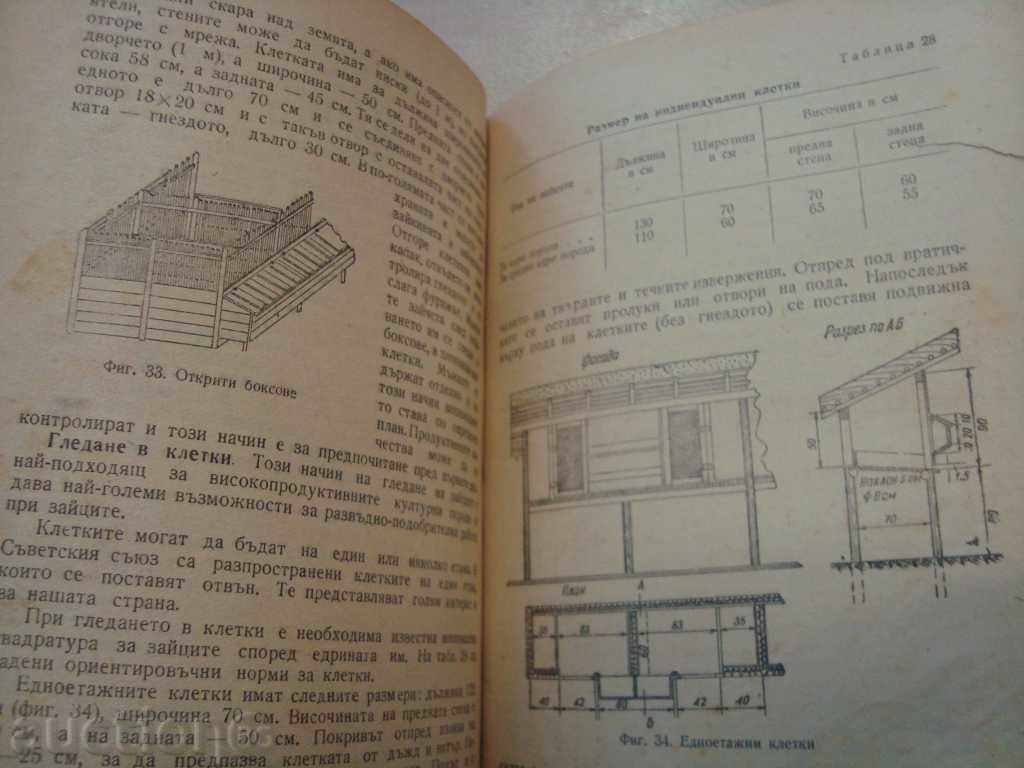 FASHION 1963 - 5 FASHION 1963 - 5