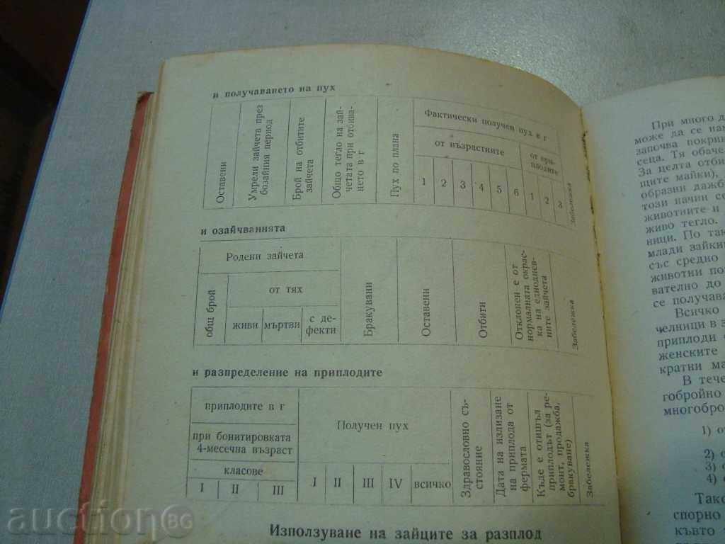 FASHION 1963 - 7 FASHION 1963 - 7
