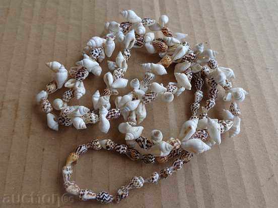 Стар гердан от рапани, огърлица, накит, бижу - 5 Стар гердан от рапани, огърлица, накит, бижу - 5