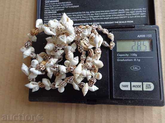 Стар гердан от рапани, огърлица, накит, бижу - 6 Стар гердан от рапани, огърлица, накит, бижу - 6