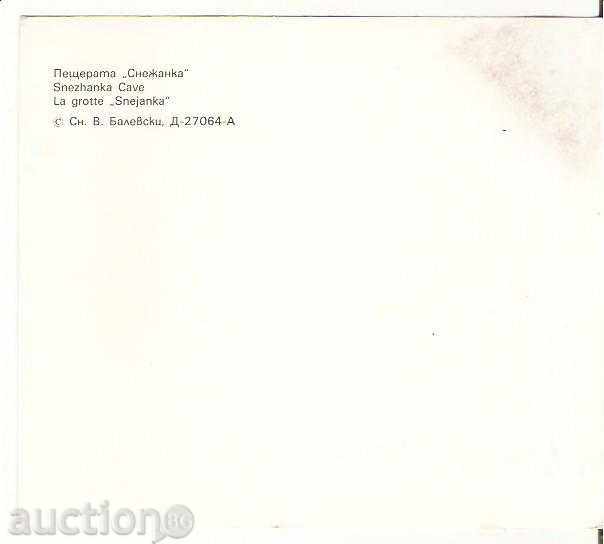 Postcard Bulgaria Snezhanka Cave 2 * with price 0.50 BGN | € 0.26 Postcard Bulgaria Snezhanka Cave 2 * with price 0.50 BGN | € 0.26