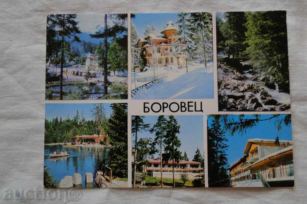 Borovets in cadres K 39