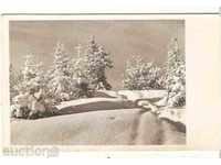 Postcard Bulgaria Winter Landscape *
