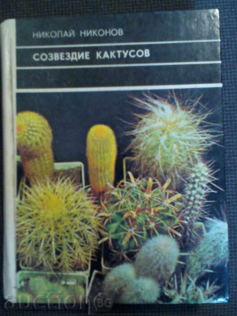 Nikolai Nikonov: Sozvezdie cactus