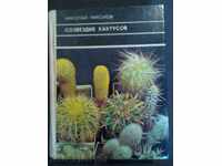 Nikolay Nikonov: Suzvetier cactus