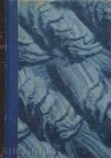 αλογόμυγα με τιμή 7.00 BGN | € 3.58 αλογόμυγα με τιμή 7.00 BGN | € 3.58