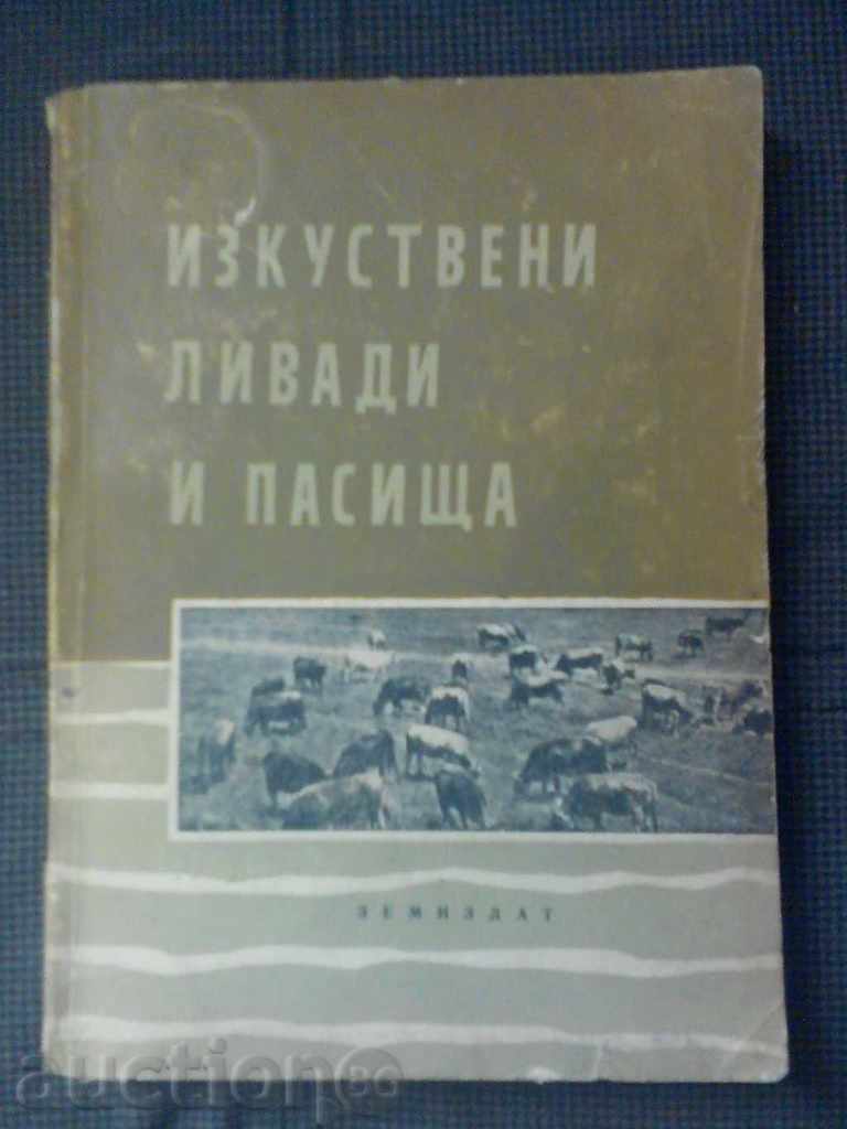 Изкуствени ливади и пасища