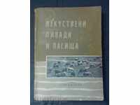 Τεχνητή λιβάδια και βοσκοτόπια