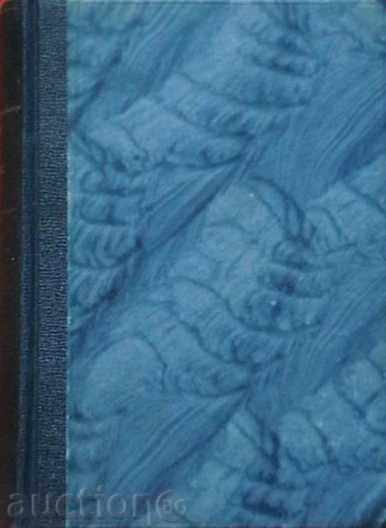 νύχτα Pata με τιμή 10.00 BGN | € 5.11 νύχτα Pata με τιμή 10.00 BGN | € 5.11