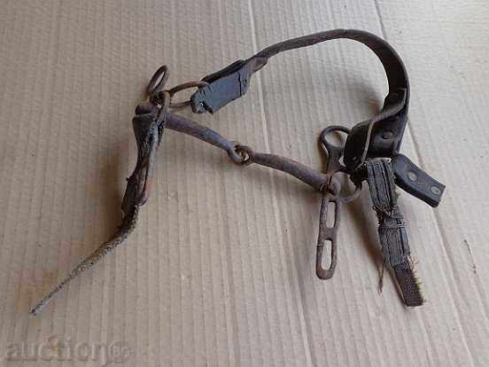 A bridle with a strap, a wrought iron, a harness harness A bridle with a strap, a wrought iron, a harness harness