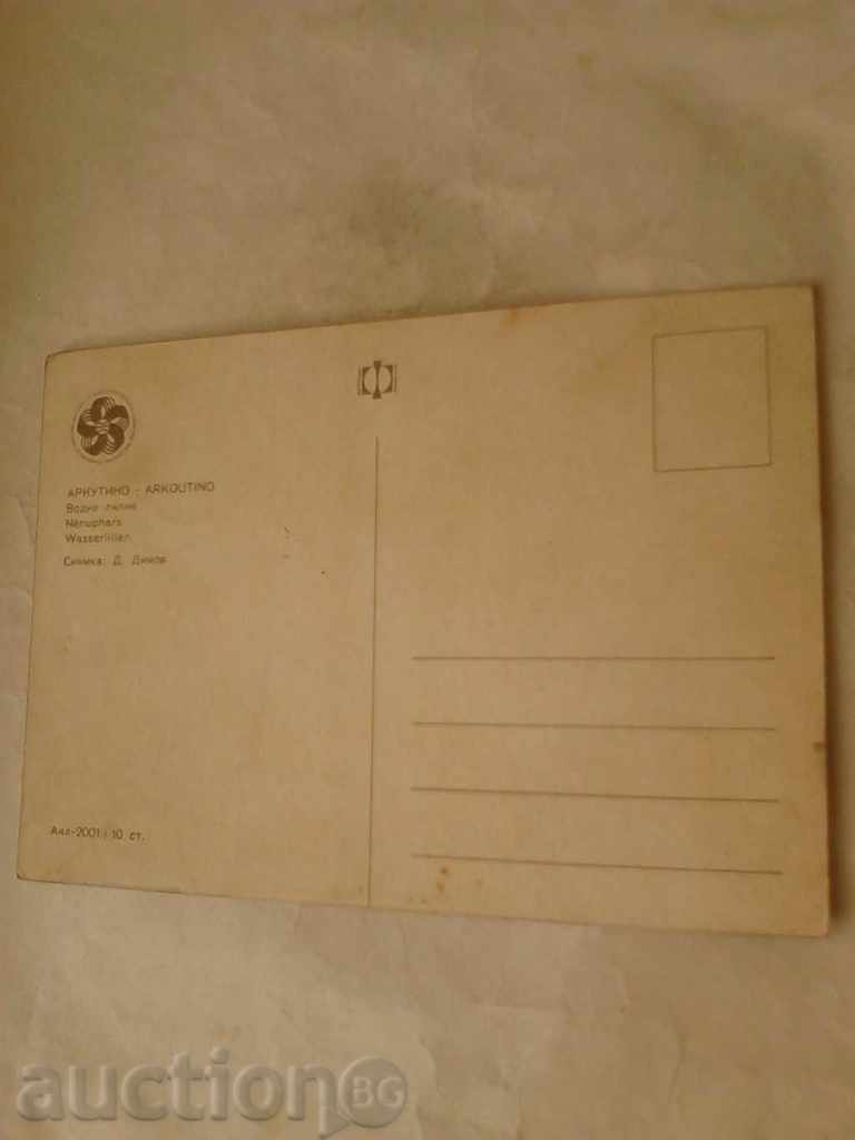 Postcard Arkutino Water Lilies 1968 with price 0.35 BGN | € 0.18