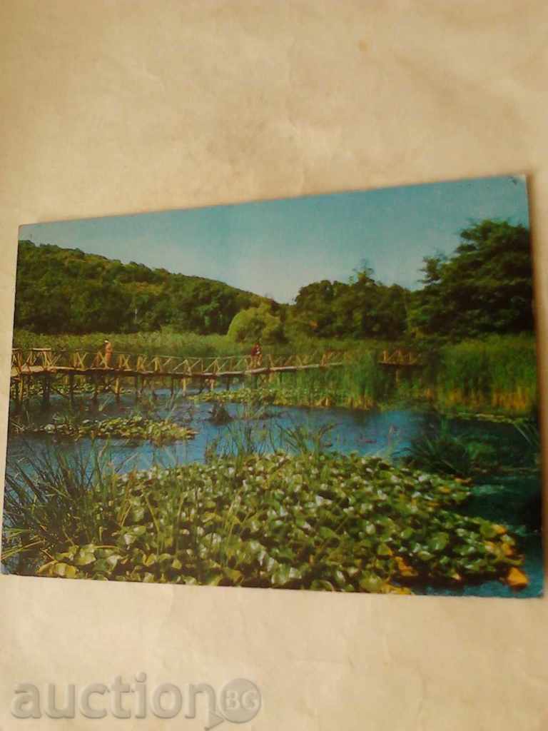 Postcard Arkutino Water Lilies 1968