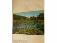 Пощенска картичка Аркутино Водни лилии 1968