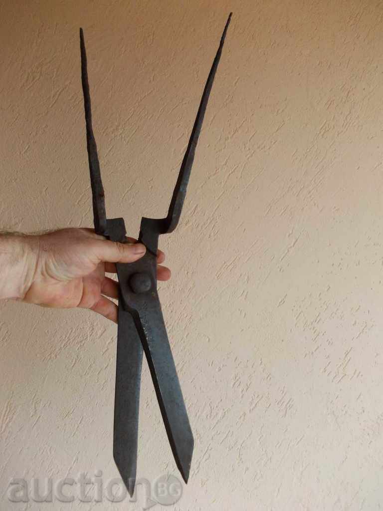 Huge old scissors - 5 Huge old scissors - 5