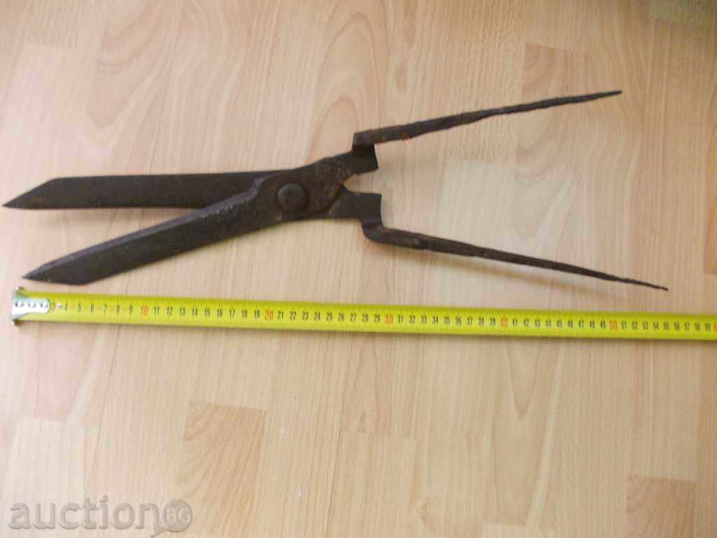 Huge old scissors