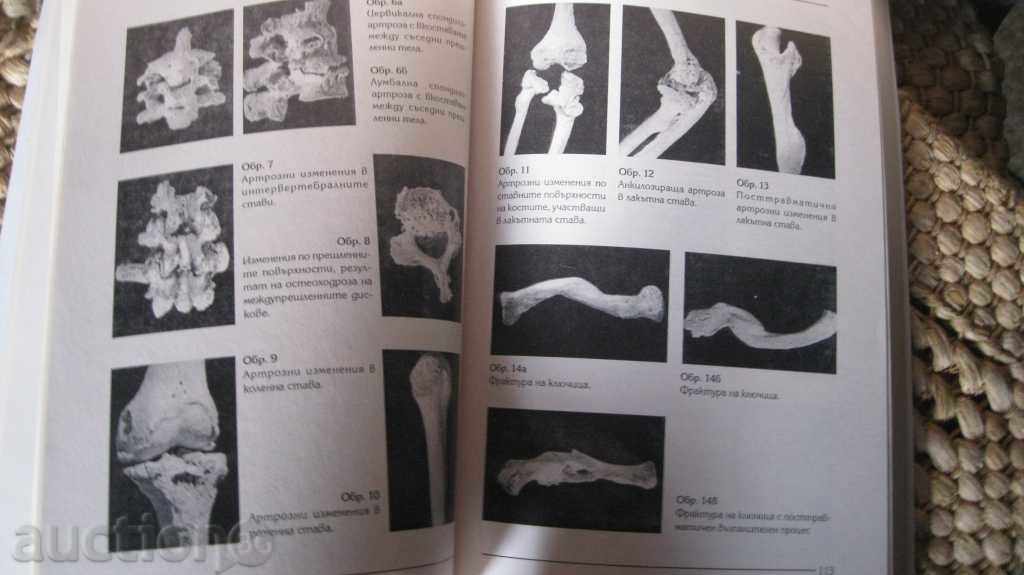 Auction MUSEUMS AND DISCUSSION BOOK Auction MUSEUMS AND DISCUSSION BOOK