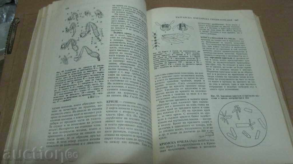 BACKGROUND PECHELARIC ENCYCLOPEDIA with price 40.00 BGN | € 20.45 BACKGROUND PECHELARIC ENCYCLOPEDIA with price 40.00 BGN | € 20.45