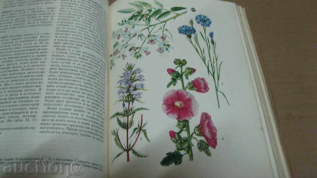 Auction BACKGROUND PECHELARIC ENCYCLOPEDIA Auction BACKGROUND PECHELARIC ENCYCLOPEDIA