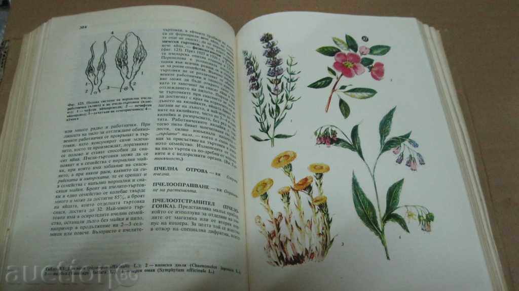 Delivery of BACKGROUND PECHELARIC ENCYCLOPEDIA Delivery of BACKGROUND PECHELARIC ENCYCLOPEDIA