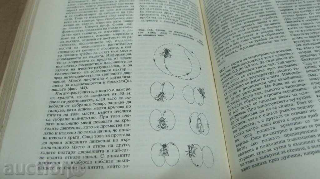 BACKGROUND PECHELARIC ENCYCLOPEDIA - 5 BACKGROUND PECHELARIC ENCYCLOPEDIA - 5