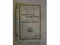 Βιβλίο "Yazdach άσπρο άλογο-T.Shtorm / Βόρειας Θάλασσας A.Haukland"
