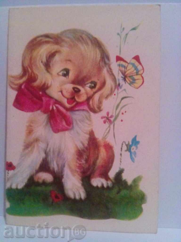 carte veche felicitare