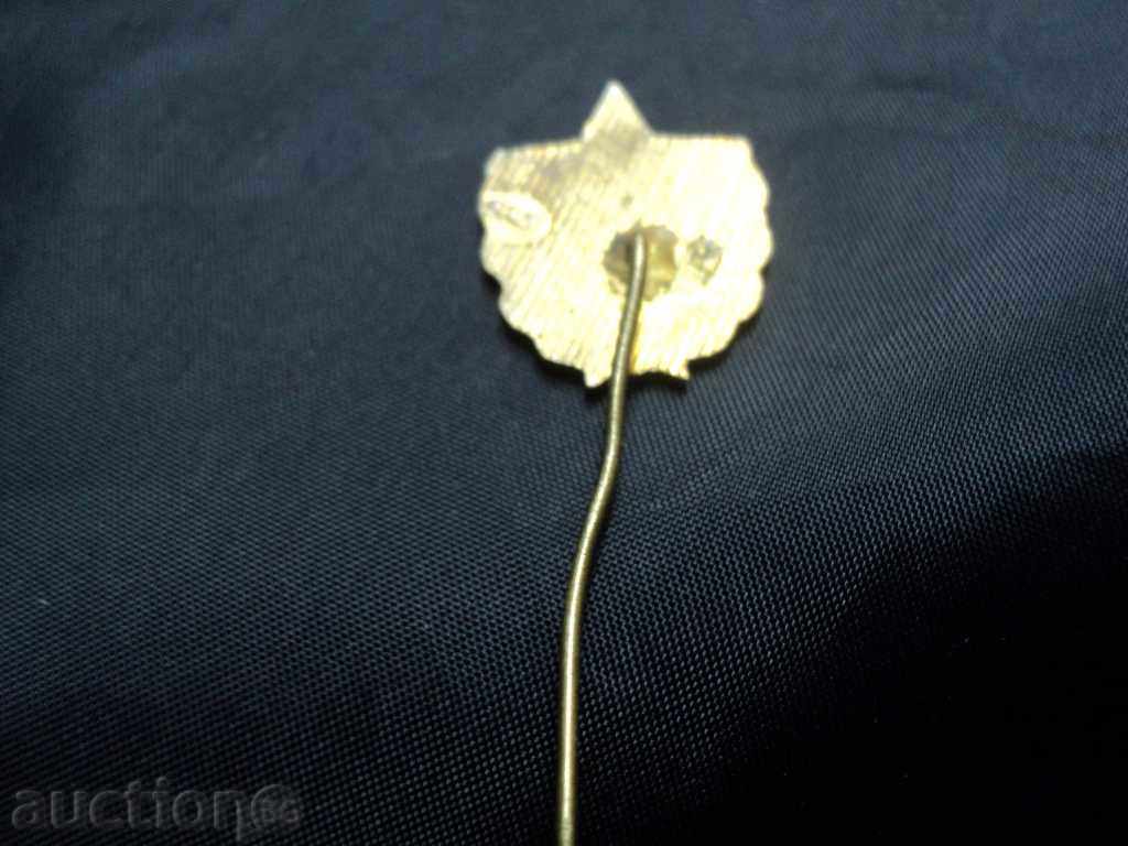 SIZE VIF. with price 10.00 BGN | € 5.11