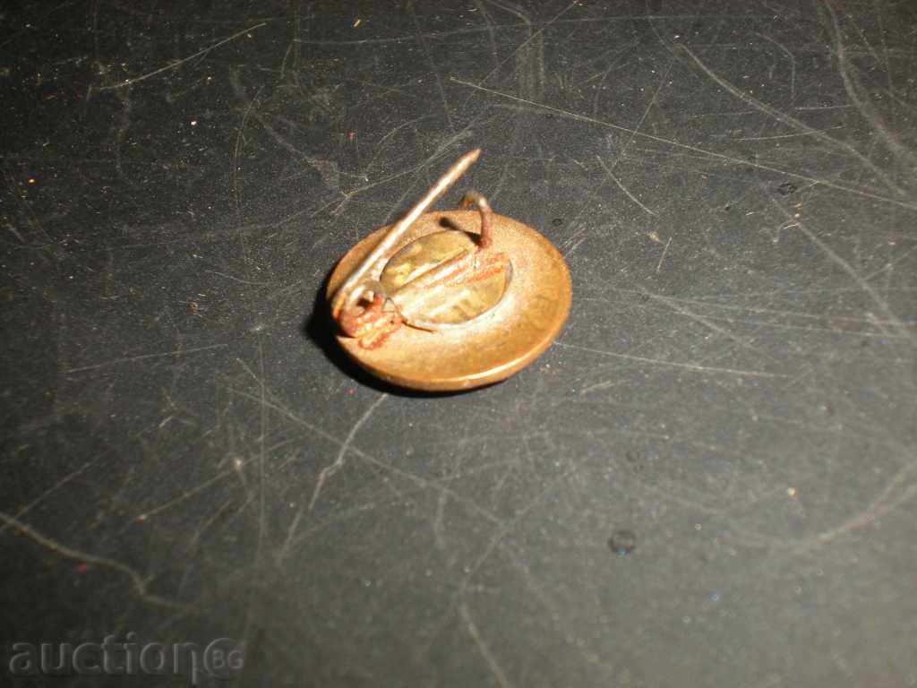 Sell badge. with price 2.00 BGN | € 1.02 Sell badge. with price 2.00 BGN | € 1.02