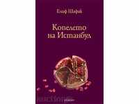 The bastard of Istanbul