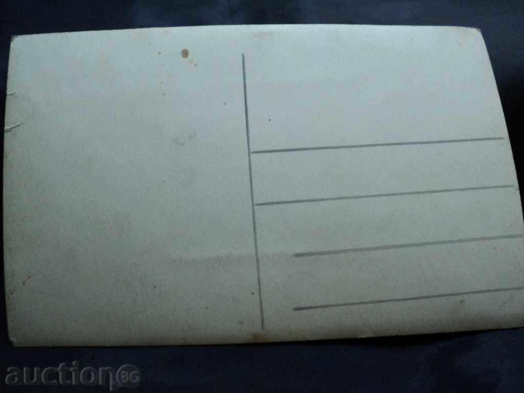 Auction STAR PICTURE OF NATIONS Auction STAR PICTURE OF NATIONS