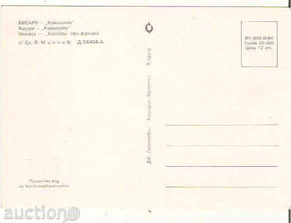 Καμήλες κάρτα Βουλγαρία Χισάρια 15 * με τιμή 0.70 BGN | € 0.36 Καμήλες κάρτα Βουλγαρία Χισάρια 15 * με τιμή 0.70 BGN | € 0.36