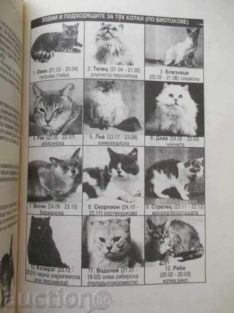 Licitație Micul Enciclopediu al Cat 1995 Licitație Micul Enciclopediu al Cat 1995