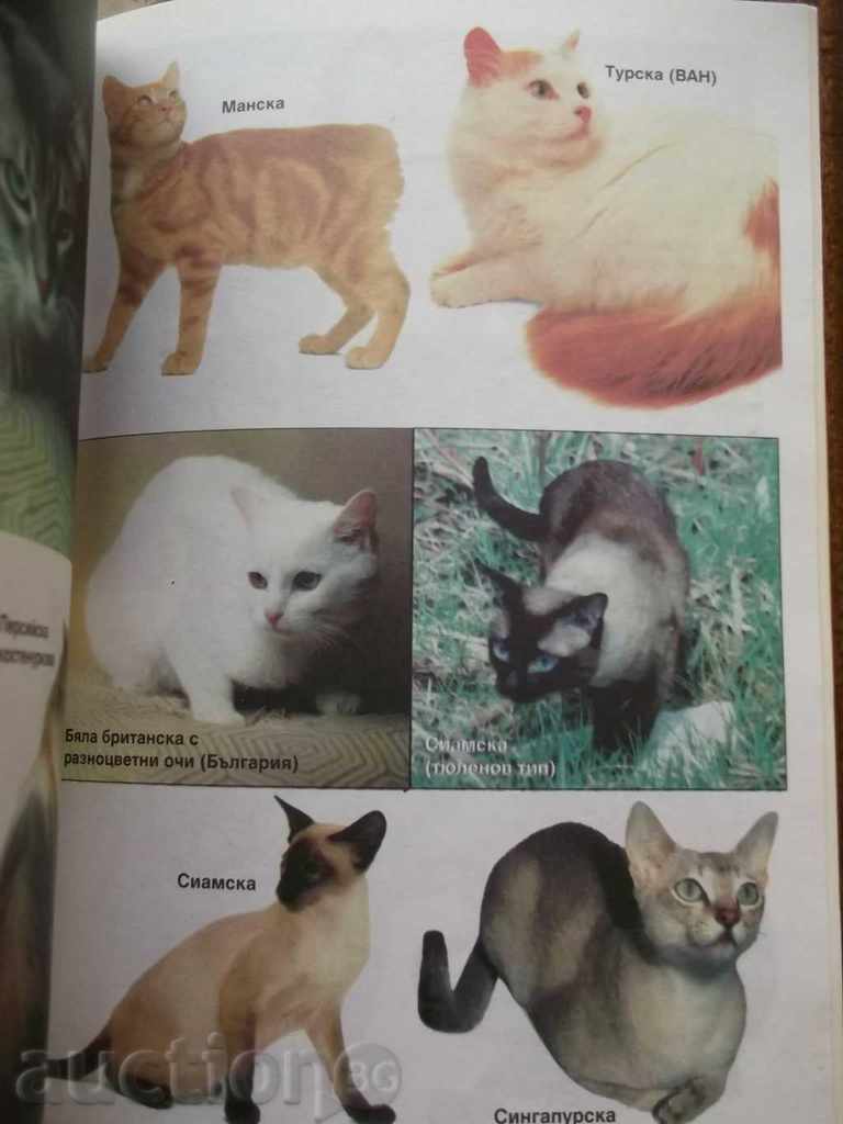 Micul Enciclopediu al Cat 1995 - 5 Micul Enciclopediu al Cat 1995 - 5