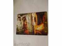 Postcard Rabisha Cave 1982