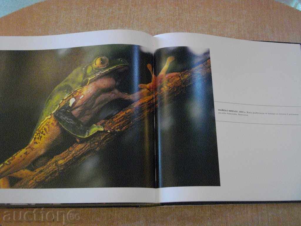 Delivery of Book "Wide Range, Great Panoramas - F. Prochman" - 504 pp. Delivery of Book "Wide Range, Great Panoramas - F. Prochman" - 504 pp.