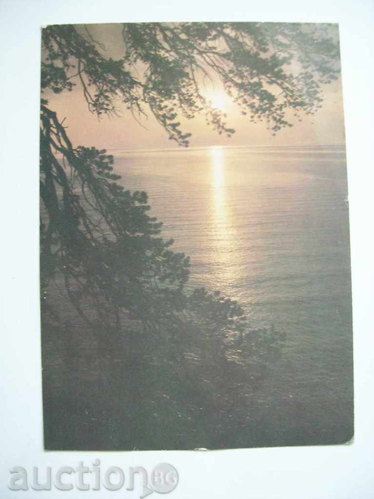 Old beautiful postcard - Zakat (Sunset)