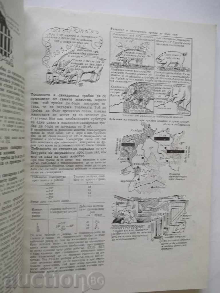 Delivery of Pig production - F. Hoffman 1964 Delivery of Pig production - F. Hoffman 1964