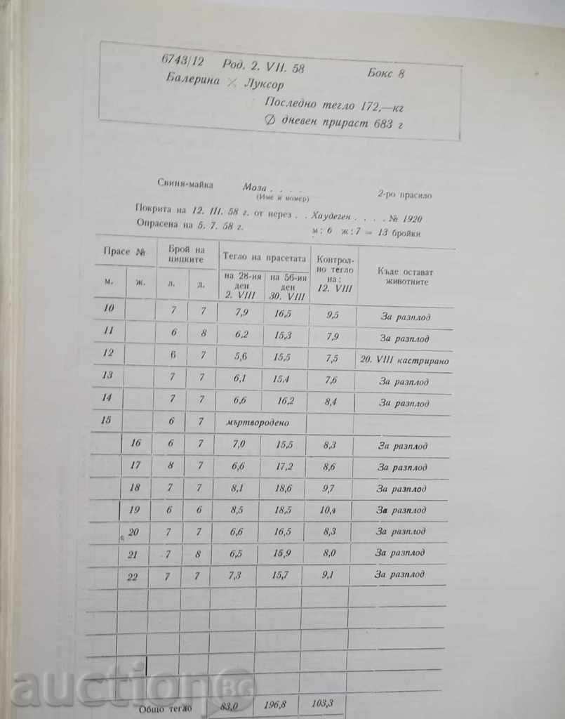 Pig production - F. Hoffman 1964 - 5 Pig production - F. Hoffman 1964 - 5