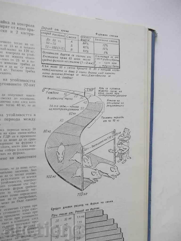 Pig production - F. Hoffman 1964 - 6 Pig production - F. Hoffman 1964 - 6