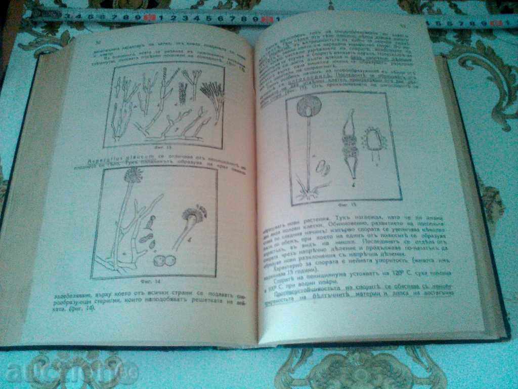 Auction  MICROBIOLOGICAL AND SEROLOGICAL RESEARCH V. MARKOV 1928