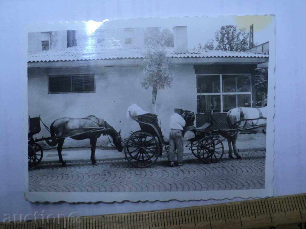 STAR PICTURE - PHOTO. with price 5.00 BGN | € 2.56 STAR PICTURE - PHOTO. with price 5.00 BGN | € 2.56