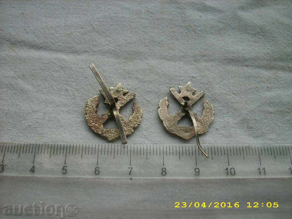 Delivery of LOT OF TWO COCKDES Delivery of LOT OF TWO COCKDES