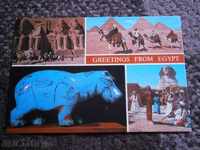 EGYPT card - STATS, GIZA, SPINKS, HIPPOTHAM - 1981