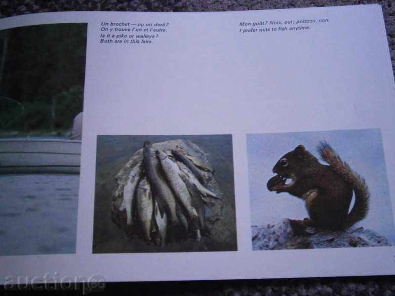 KVEBEK CANADA - SPORTS FISHING - 1971 - 5 KVEBEK CANADA - SPORTS FISHING - 1971 - 5