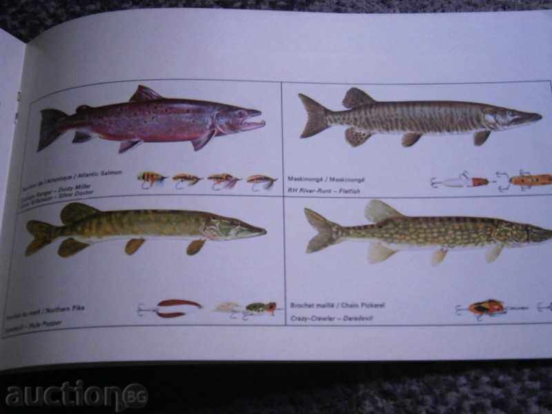 KVEBEK CANADA - SPORTS FISHING - 1971 - 6 KVEBEK CANADA - SPORTS FISHING - 1971 - 6