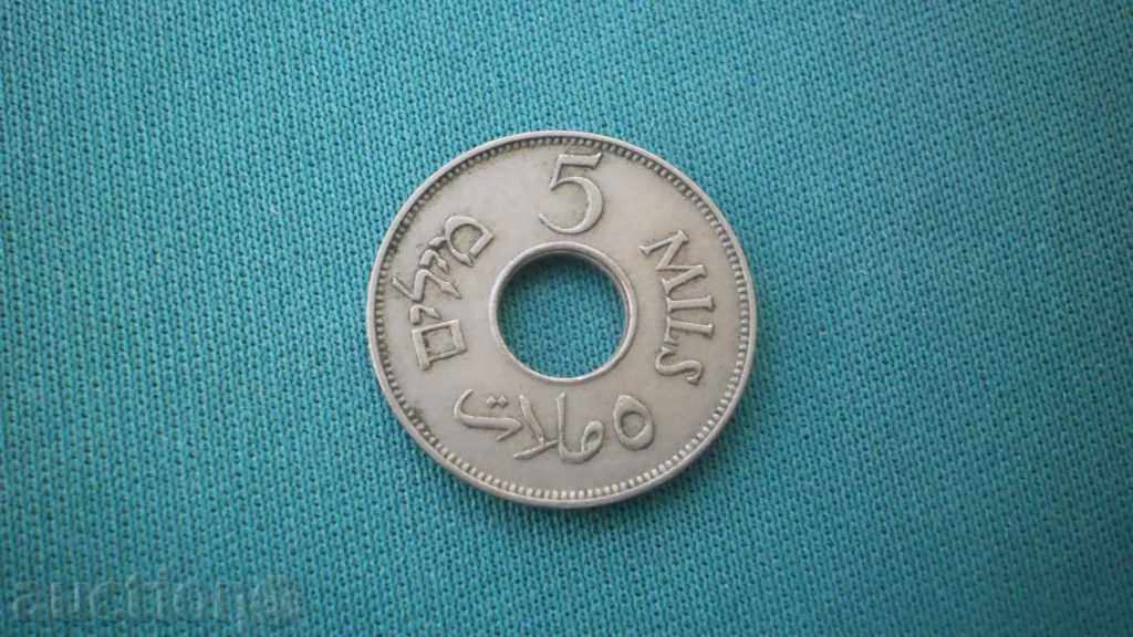 Palestina 5 Mil 1939 AUNC Rare (k) cu preț € 6.65 | 13.01 BGN